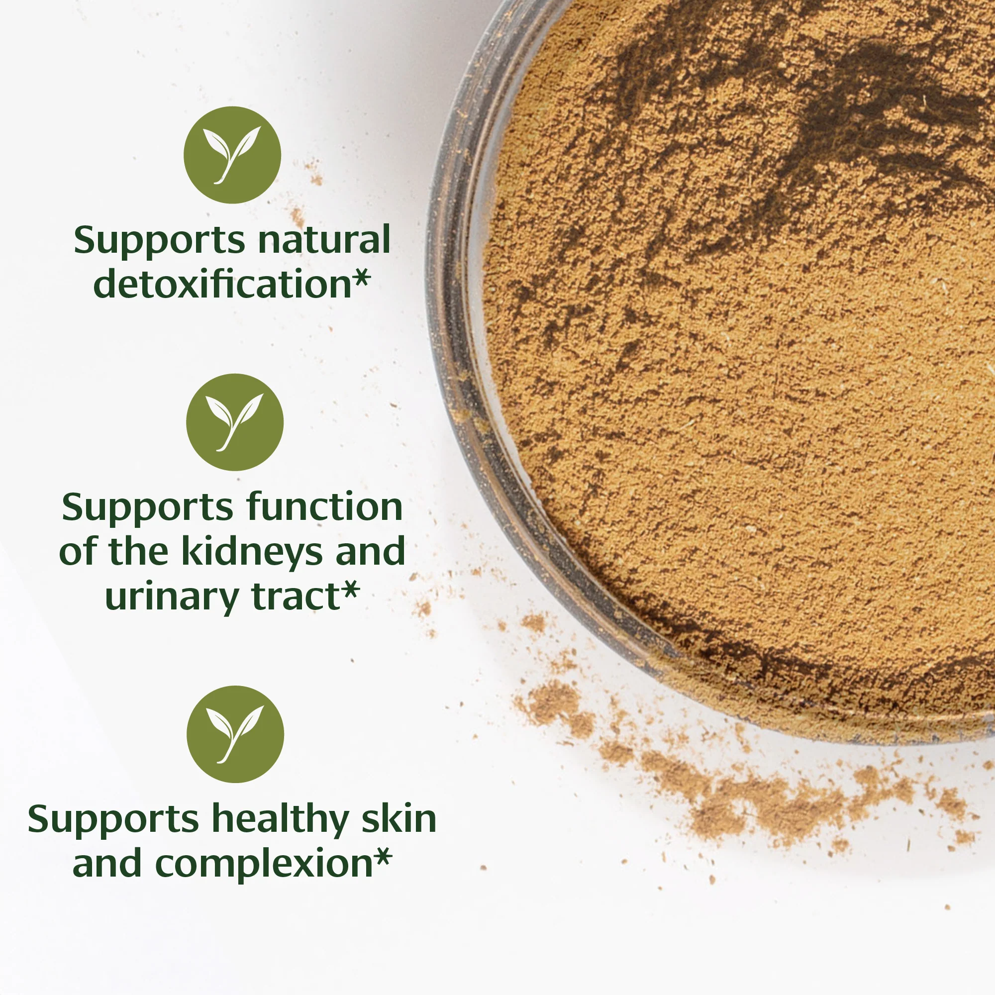Anantamul powder - Image 2