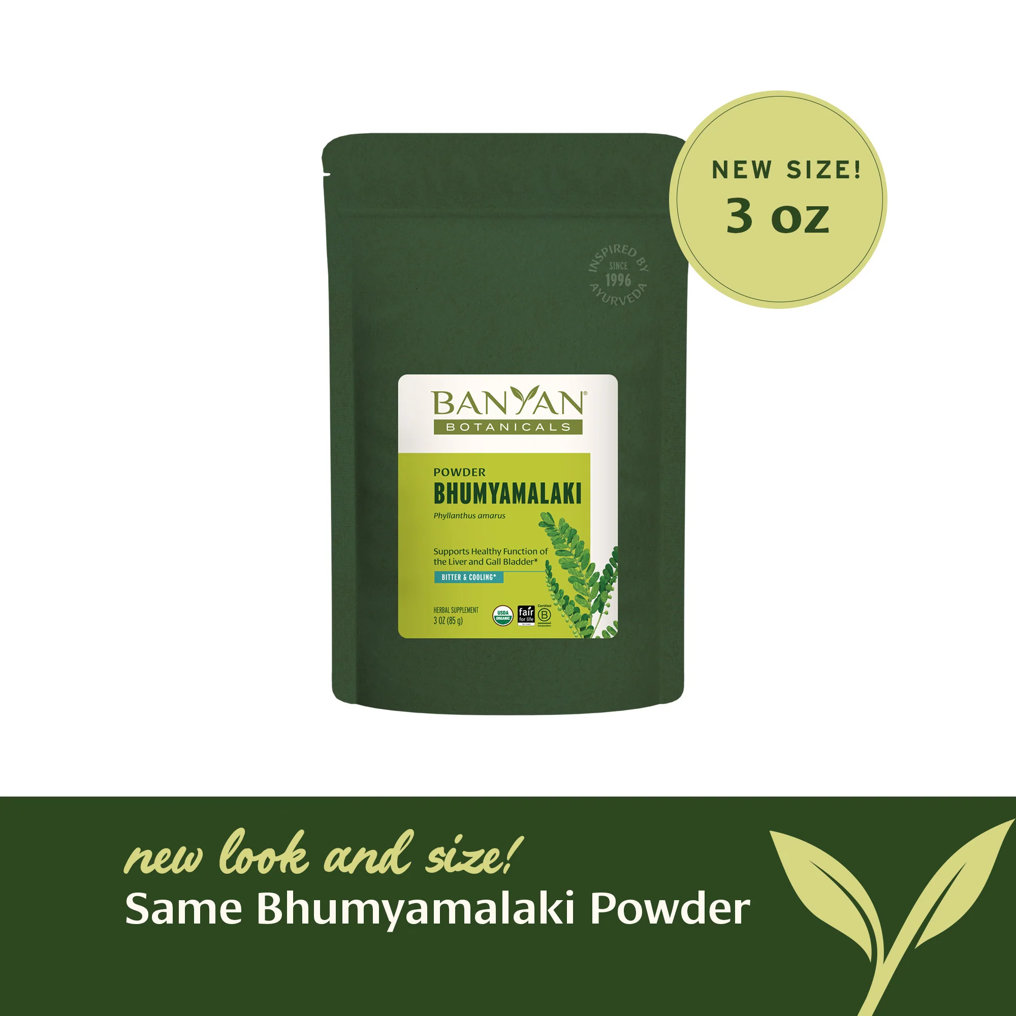 Bhumyamalaki powder - Image 8