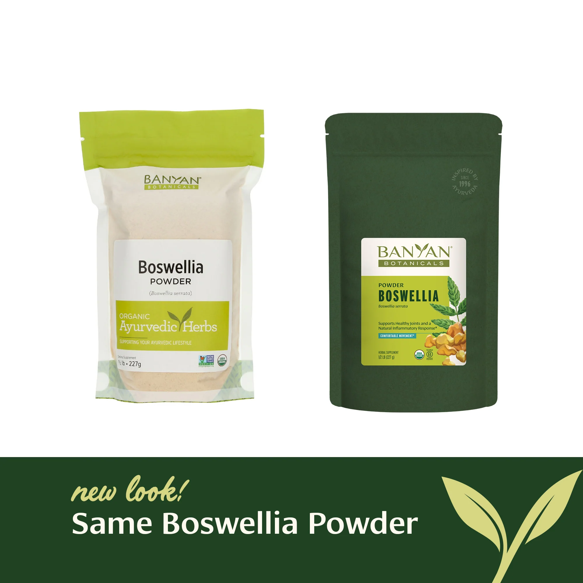 Boswellia powder - Image 6