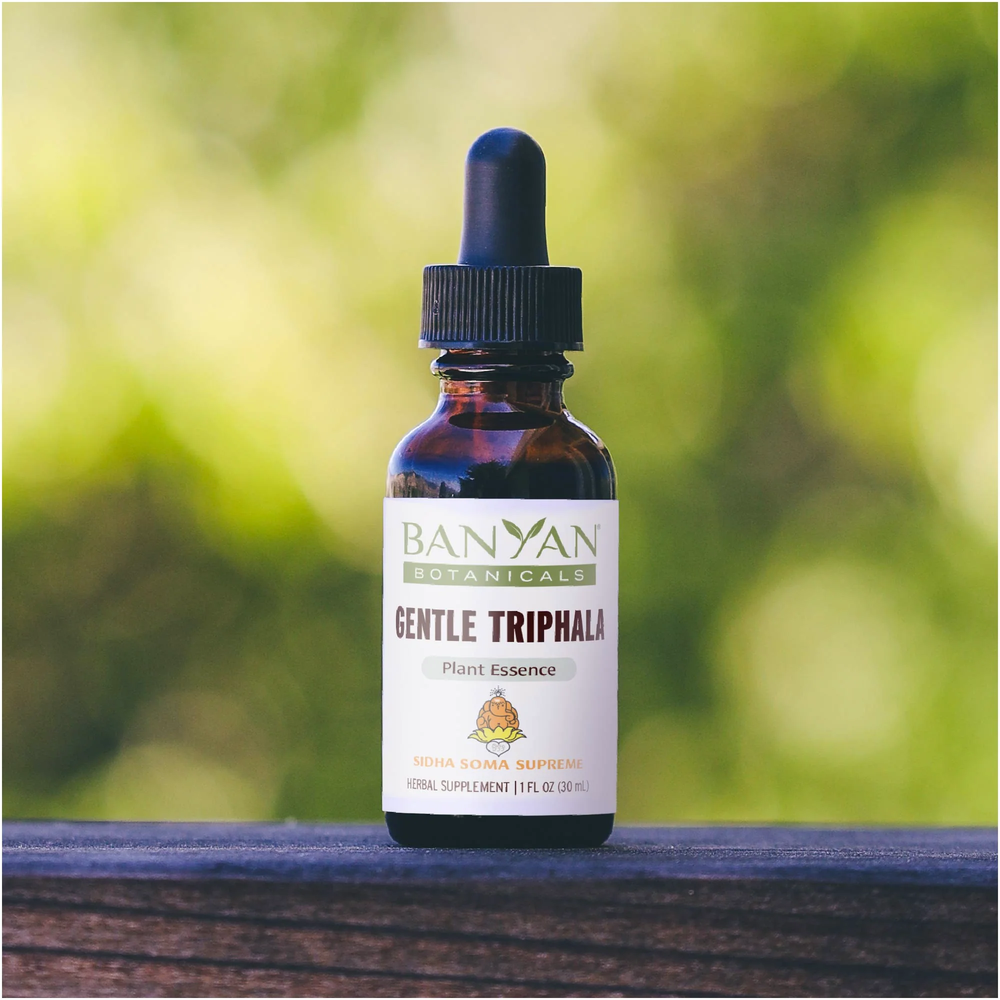 Gentle Triphala Plant Essence - Image 9
