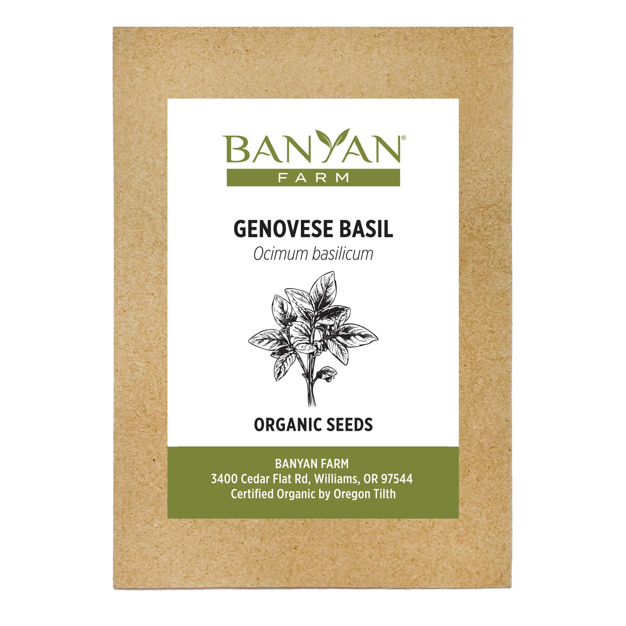Organic Basil Seeds - Image 2