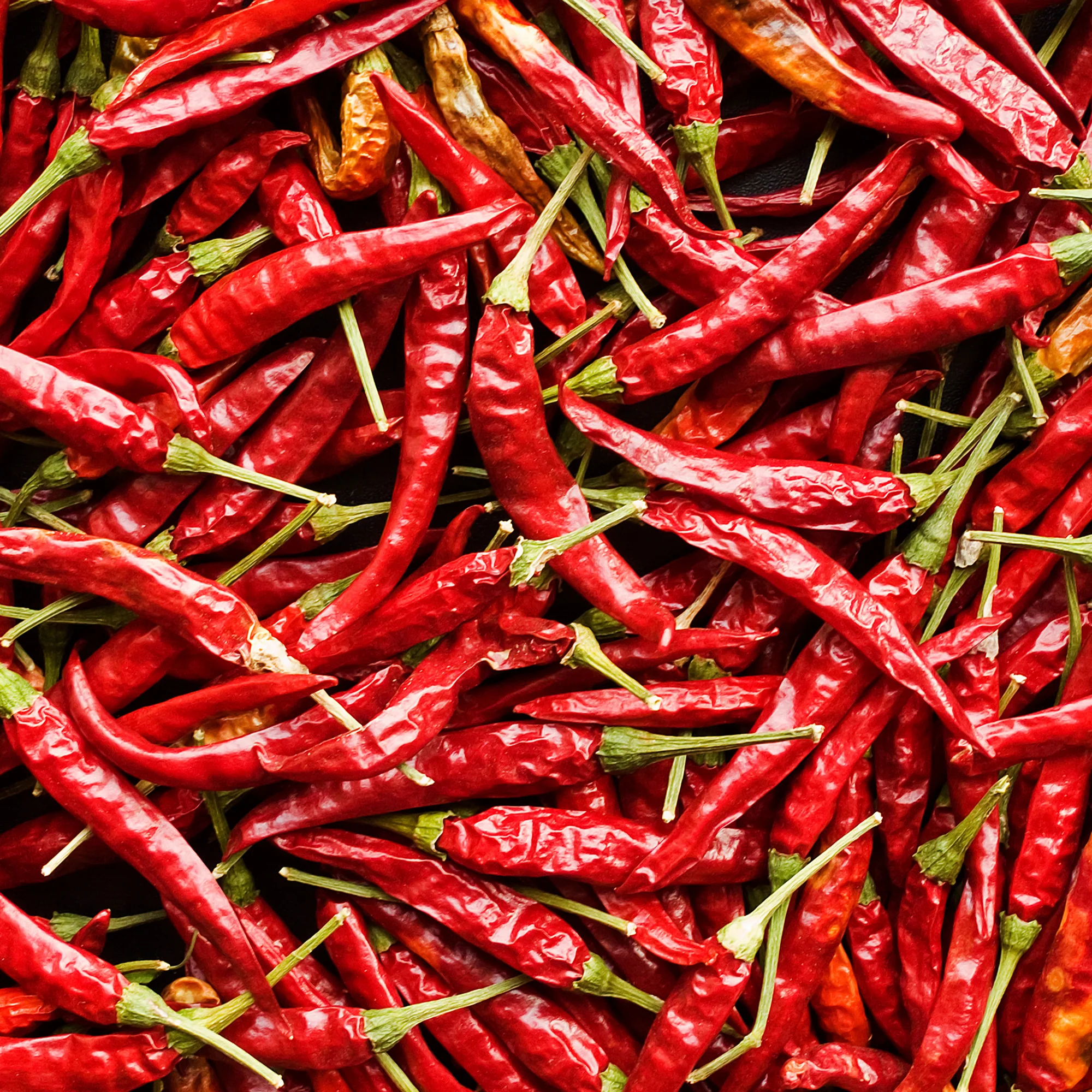 Organic Cayenne Pepper Seeds - Image 4
