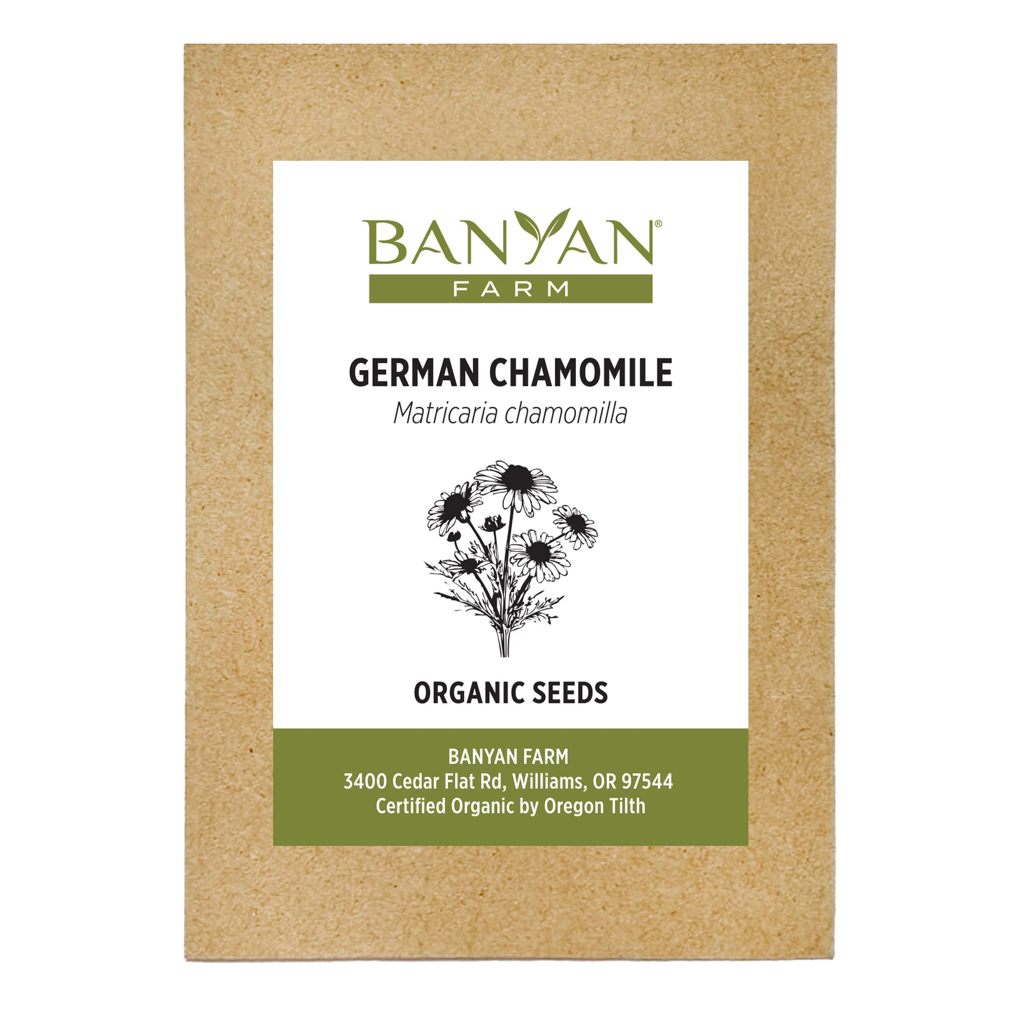 Organic German Chamomile Seeds - Image 2