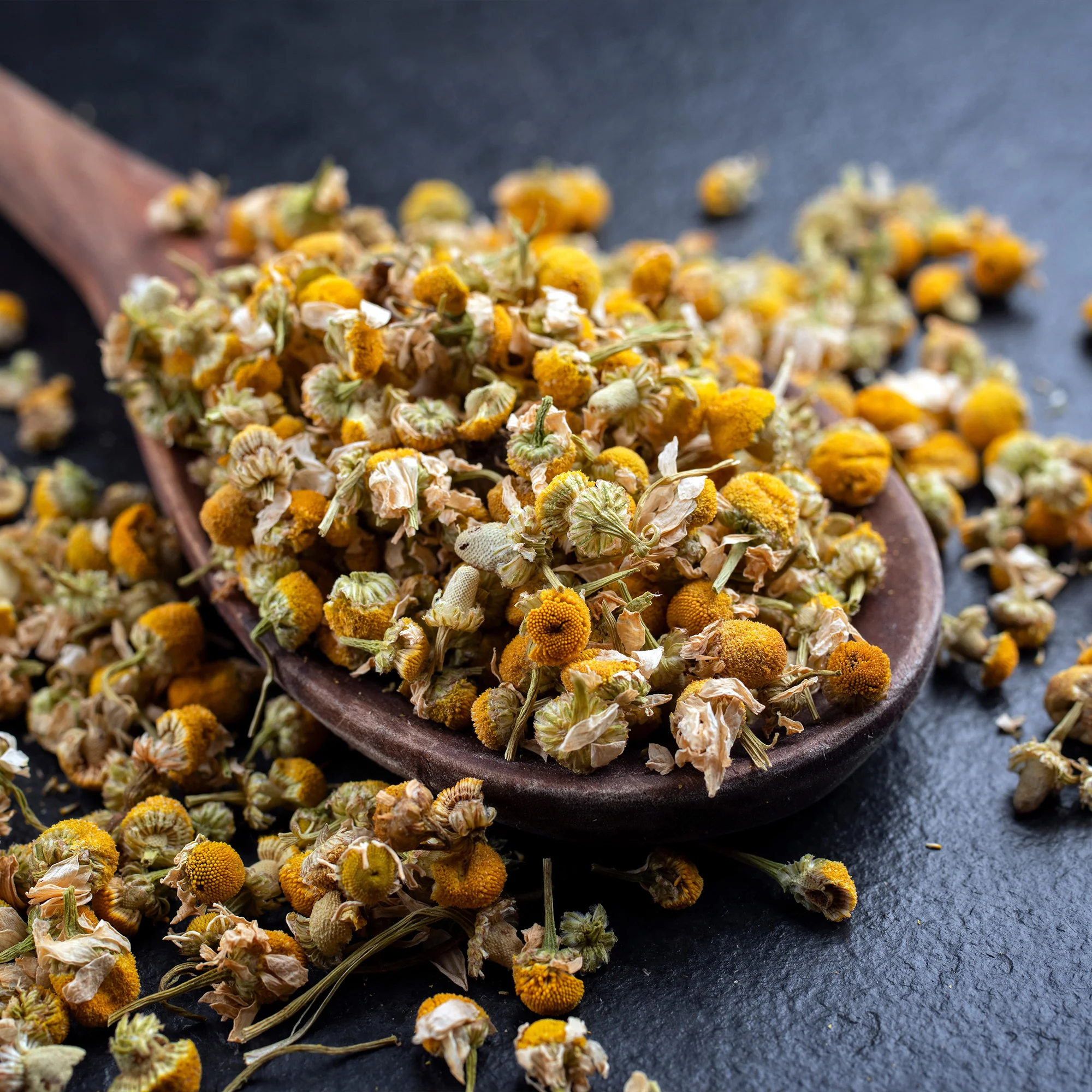 Organic German Chamomile Seeds - Image 7