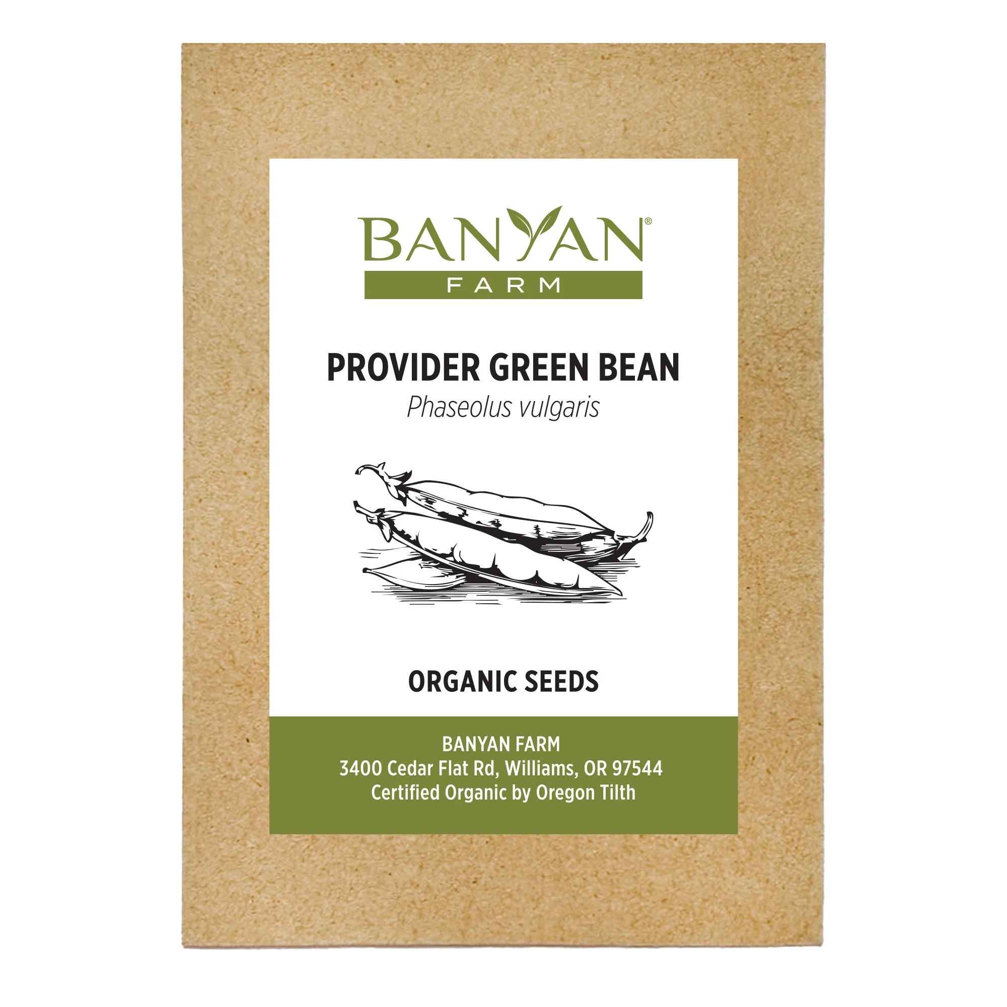 Organic Green Bean Seeds - Image 2
