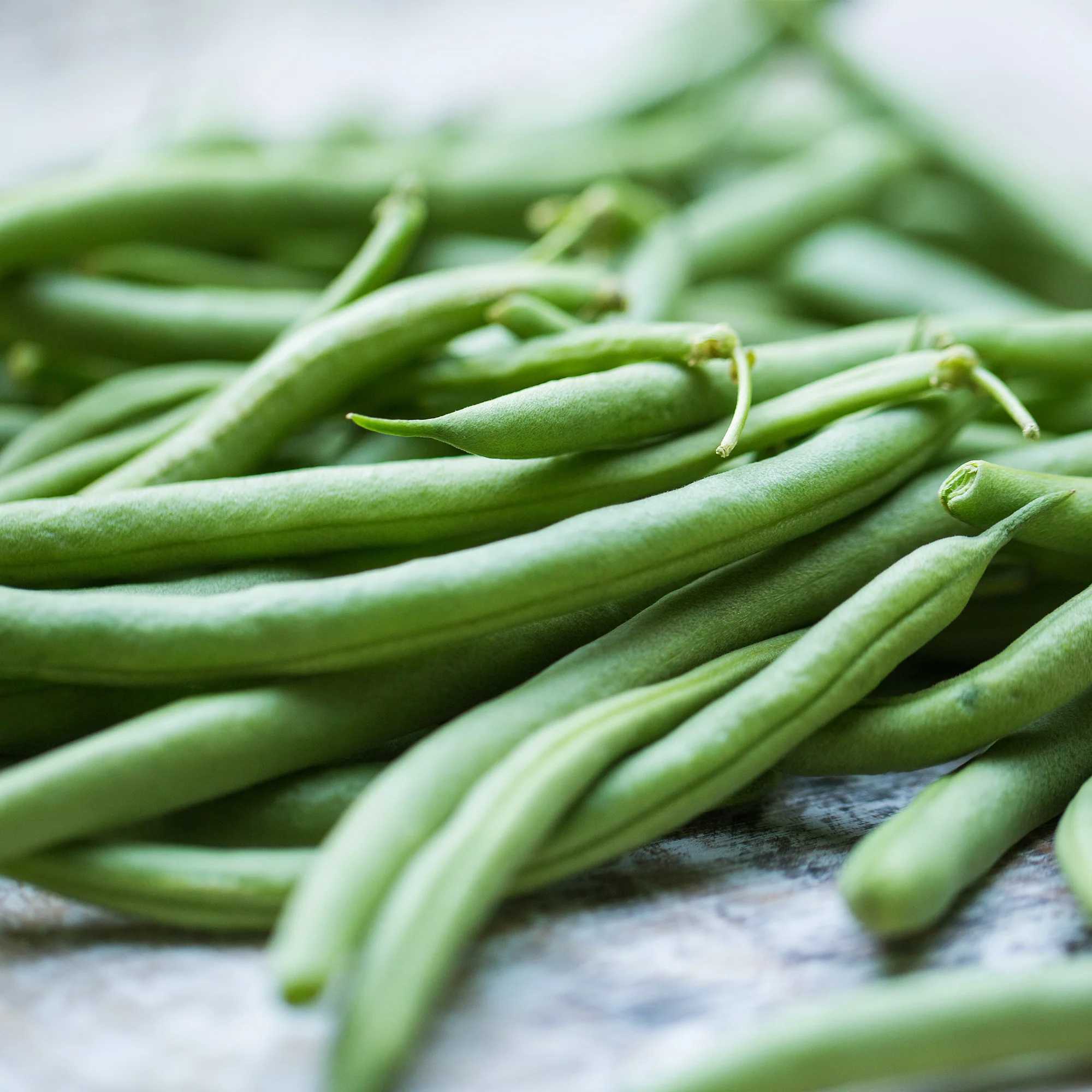 Organic Green Bean Seeds - Image 4