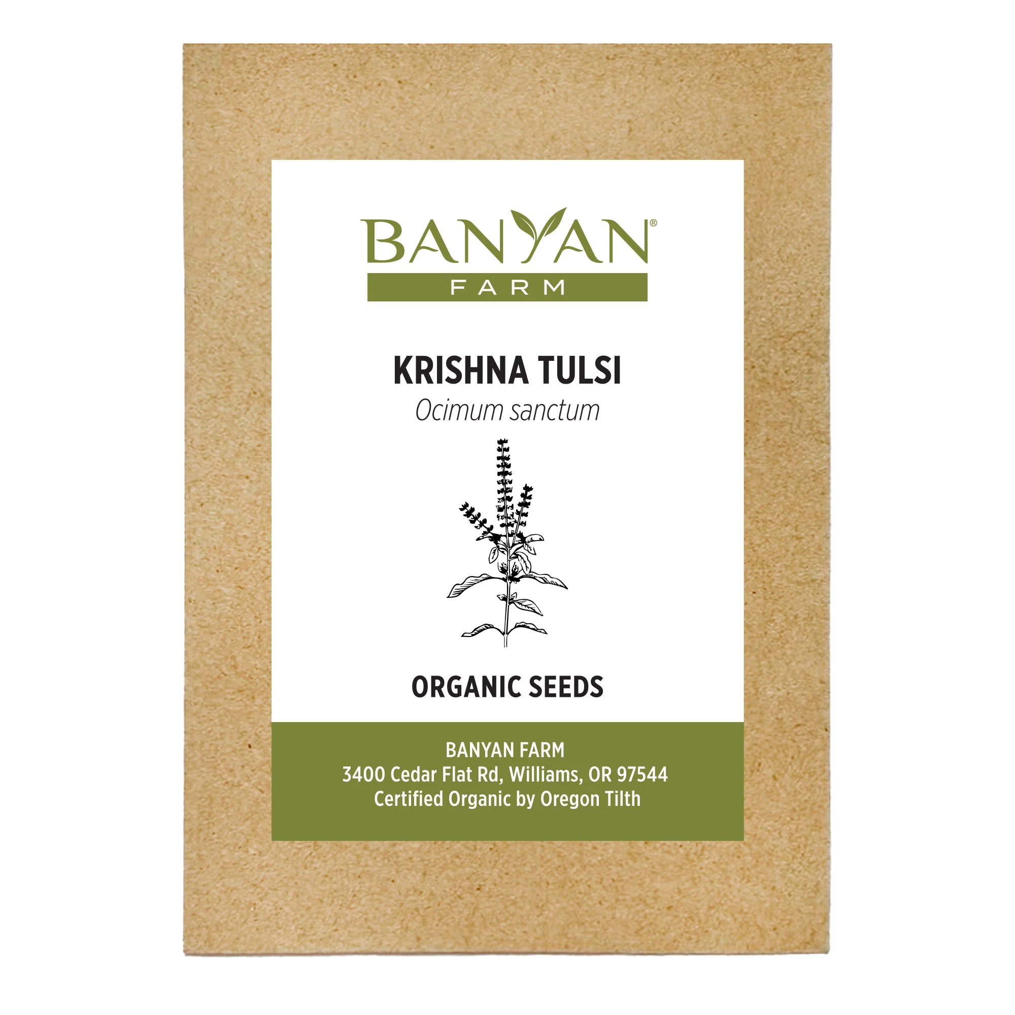 Organic Krishna Tulsi Seeds - Image 2
