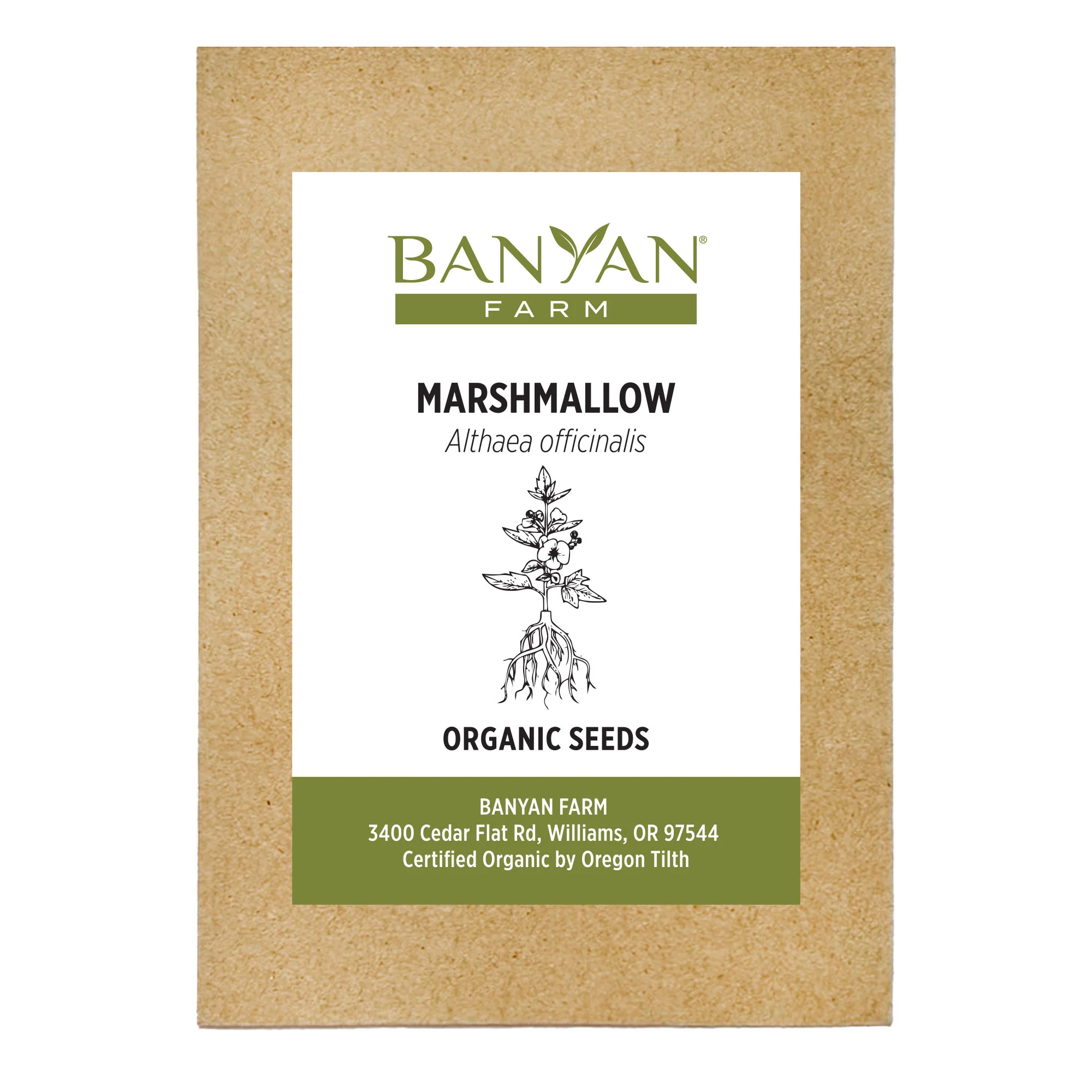 Marshmallow seeds - Image 2