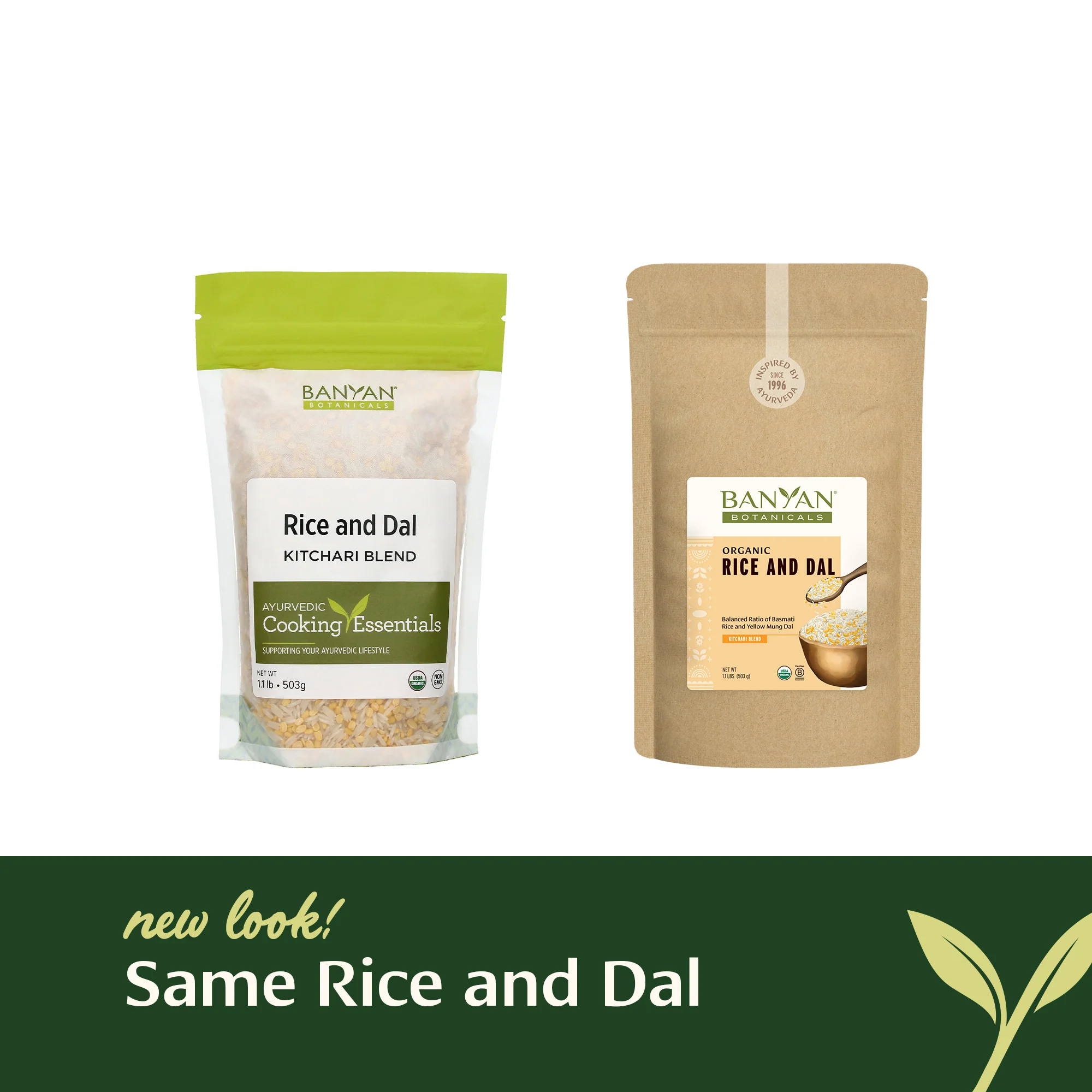Rice and Dal - Image 6
