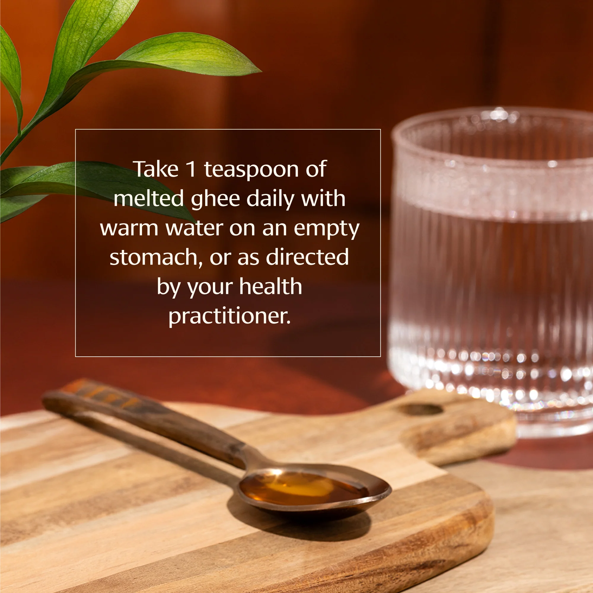Immune Defense Ghee - Image 3